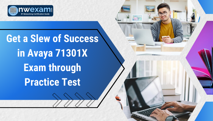 Get a Slew of Success in Avaya 71301X Exam through Practice Test