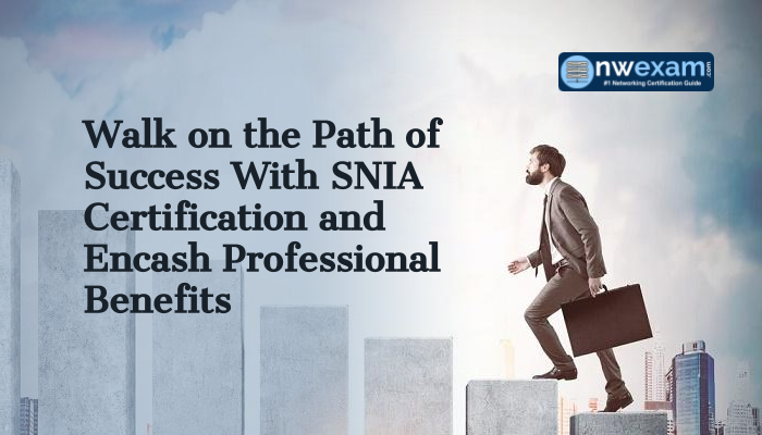 SNIA certification helps to improve career graph